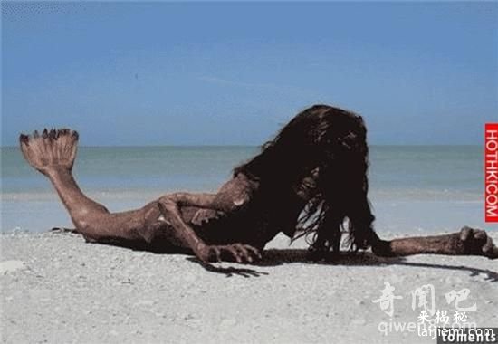 海岸惊现真实的美人鱼干尸 她们的真面目竟如此可怕