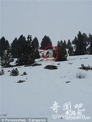 无意间拍到传说中的雪人，这是真的吗？