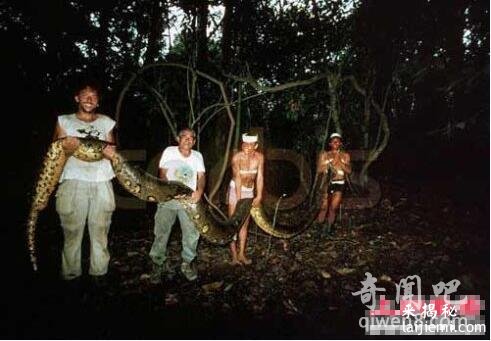 世界上最大的蟒蛇 四川55米巨蟒堪比泰坦巨蟒