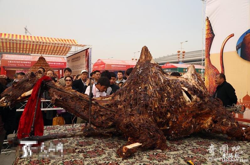新疆巴楚烧烤大师烤出一峰400公斤全驼