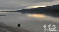 揭秘冰岛百年传说水怪 如巨蟒般游走湖面